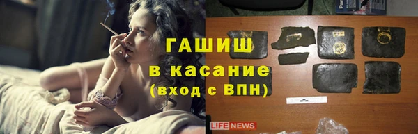 спайс Богданович