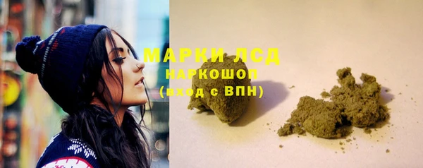 спайс Богданович
