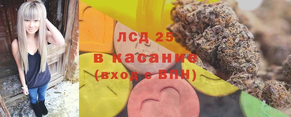 спайс Богданович