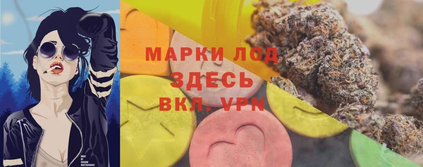 спайс Богданович